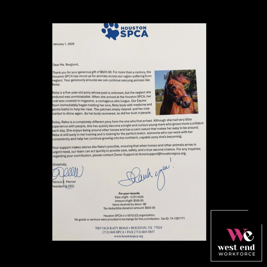 Reba, a rescue horse at the Houston SPCA